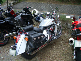 album_photo