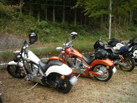 album_photo