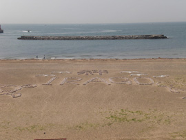 album_photo
