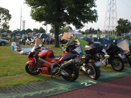 album_photo
